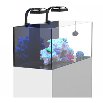 Ecotech Single Arm G6 and Tank mount 